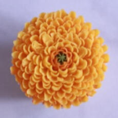Yellow Chrysanthenum Cupcake Flower