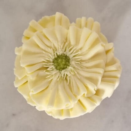White Anemone Cupcake Flower
